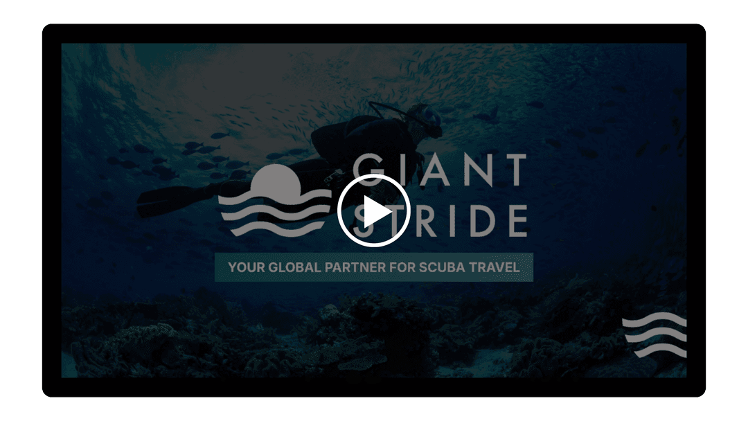 Giant Stride